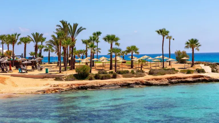 Sunny beach with Palm trees in Cyprus