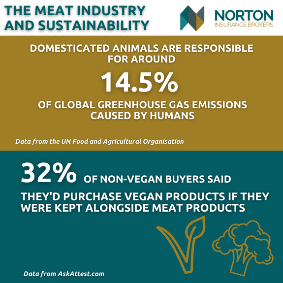 The meat industry and sustainability 
