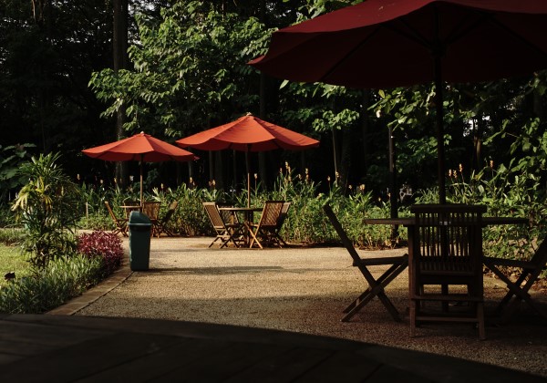 garden parasols