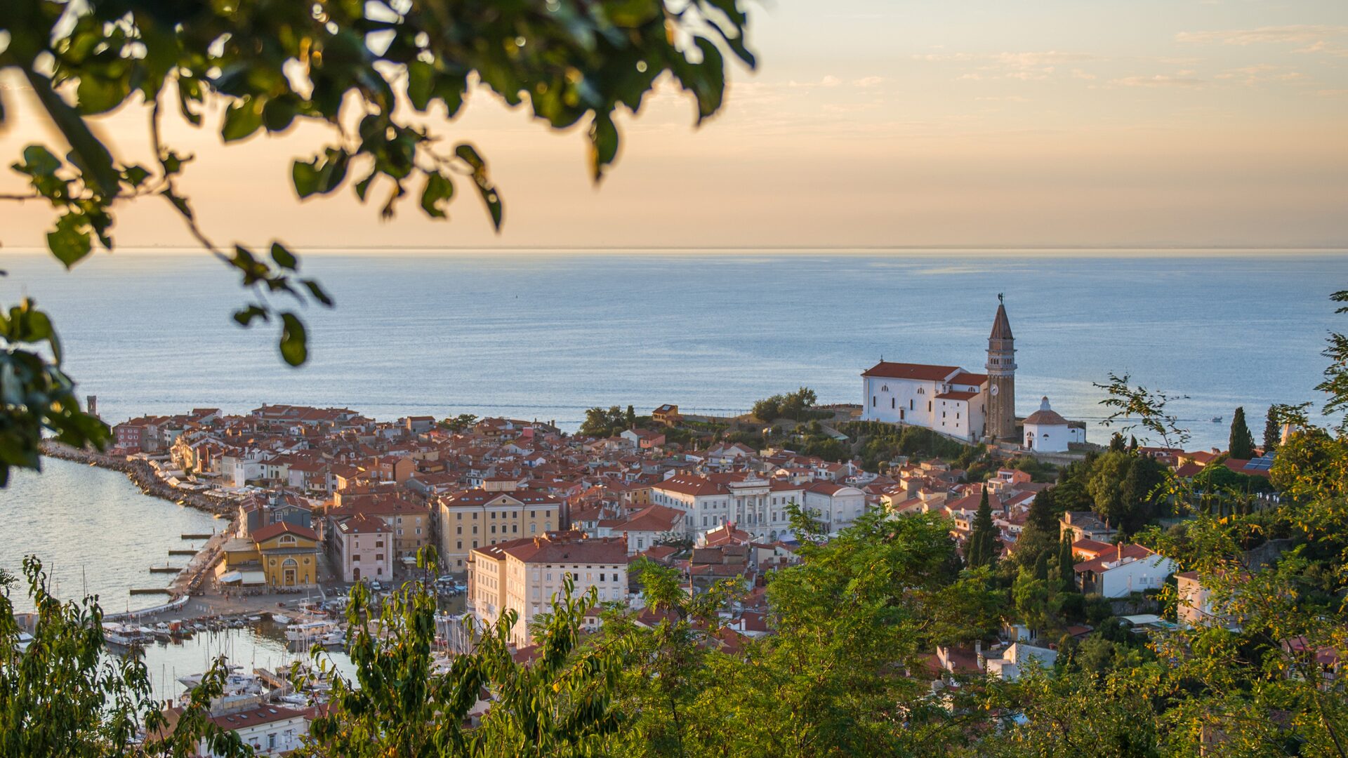 An aerial shot of Piran, Slovenia.