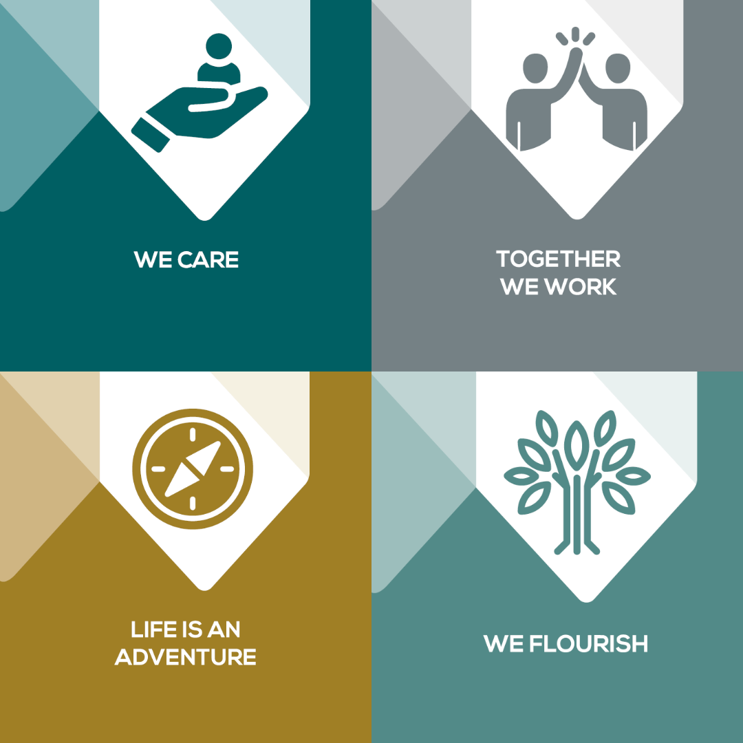 A graphic of the Norton Insurance Brokers values