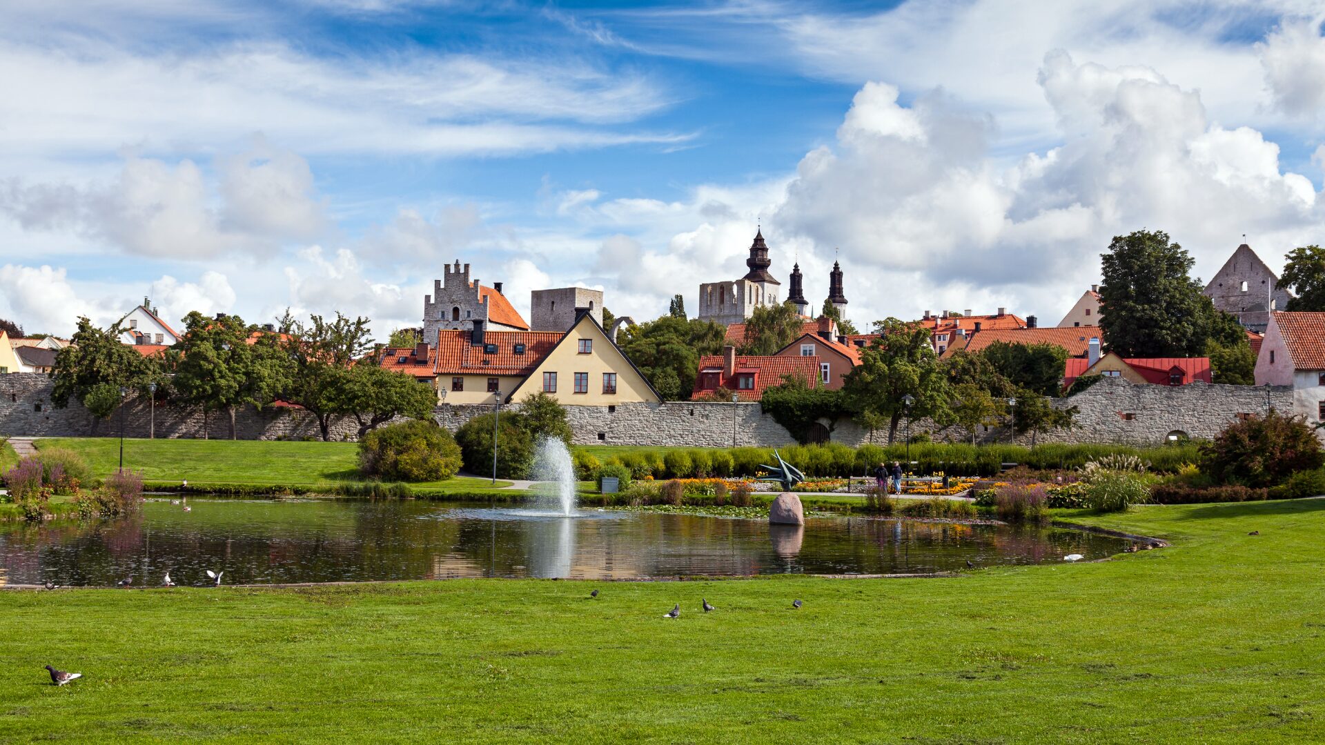 Green grass with residential buildings in Visby, Sweden